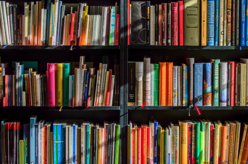 boutique-LE BAR SUR LOUP-min_books_bookstore_book_reading_shop_writer_sale_books_read-822866